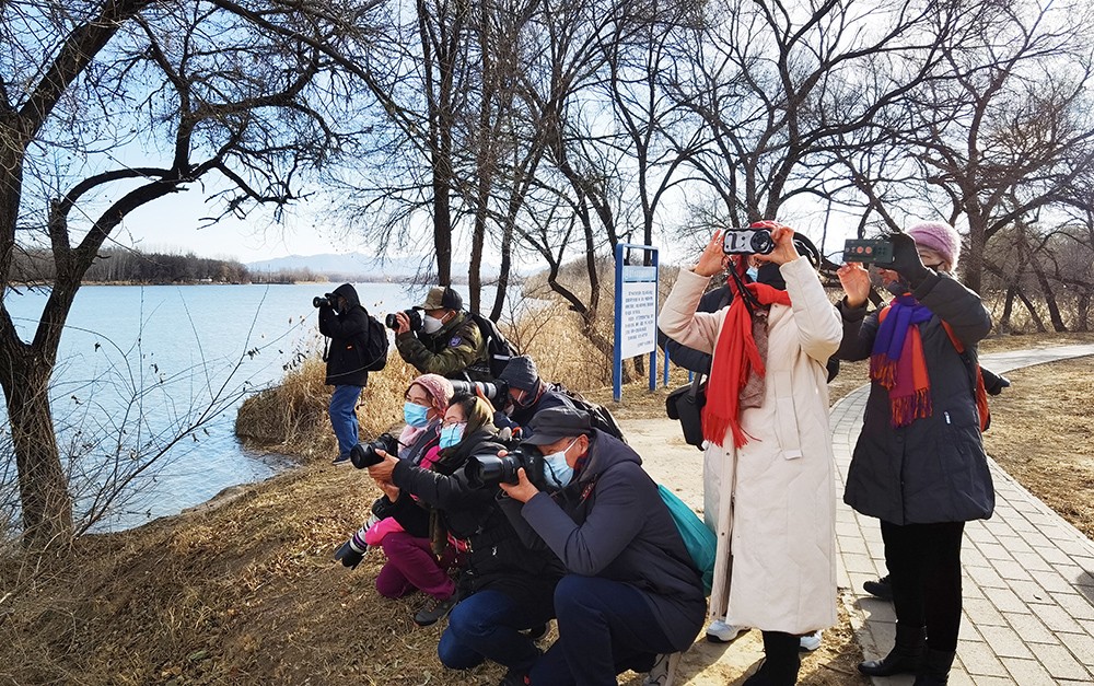 东翠路军休所 张伟 摄.jpg