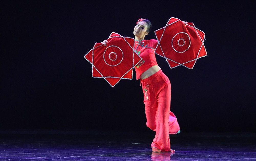 绢花飞舞-青龙桥军休所-王福润 摄.jpg