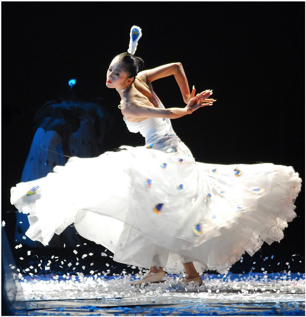 雀之舞 遗光寺军休所 刘玉林 摄.jpg