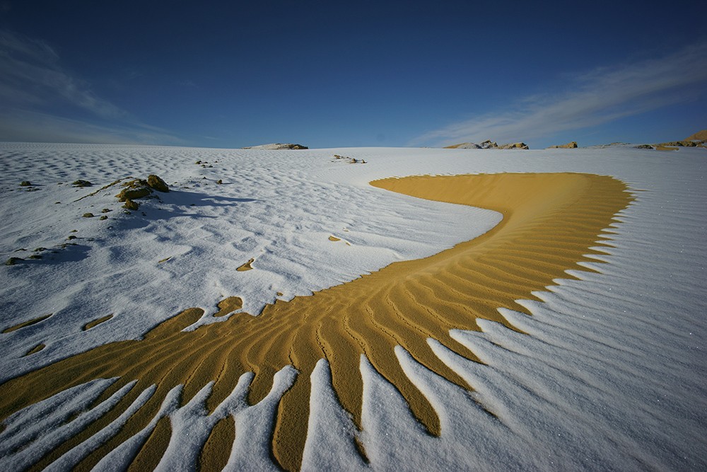 冰与火的交融 天香颐服务管理中心-关大学 摄.JPG