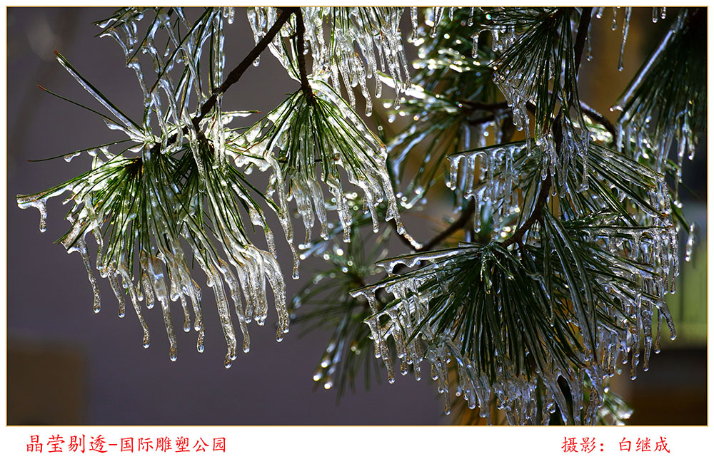 玉泉路军休所 白继成 摄(裁一下白边).jpg